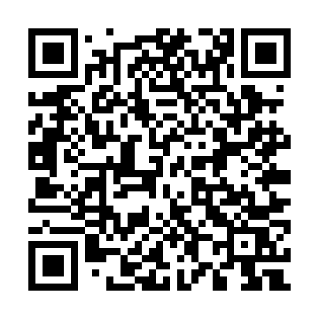 QR code for 585PNS
