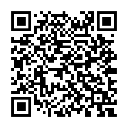 QR code for 595PYT