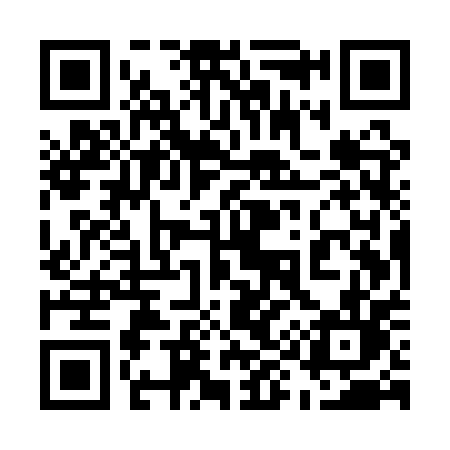 QR code for 595QPL