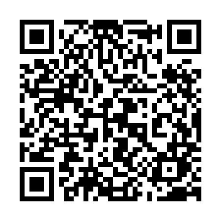 QR code for 595XML