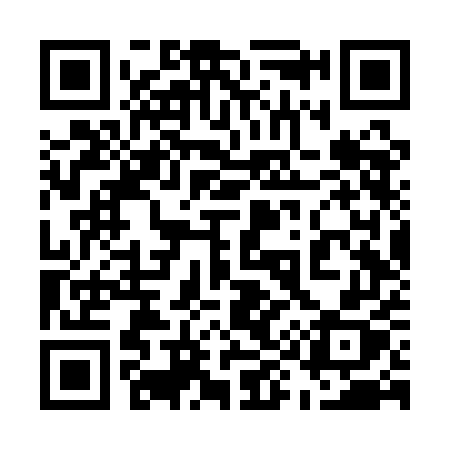 QR code for 596QEX