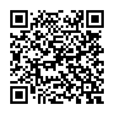QR code for 597LPU