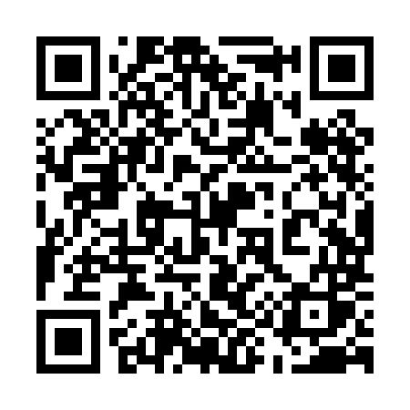 QR code for 598PMS