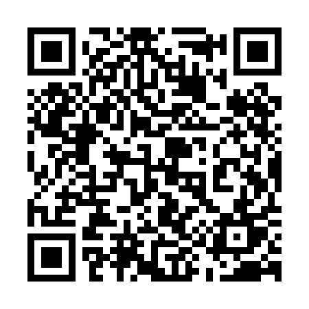 QR code for 599PAT