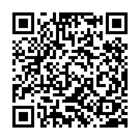 QR code for 601PGX