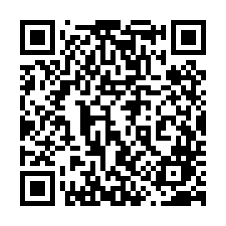 QR code for 613PTN