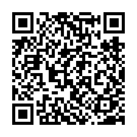 QR code for 616VIP