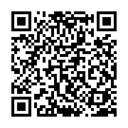 QR code for 618MSI