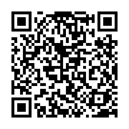 QR code for 619SKI