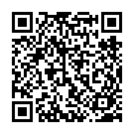 QR code for 619VEO