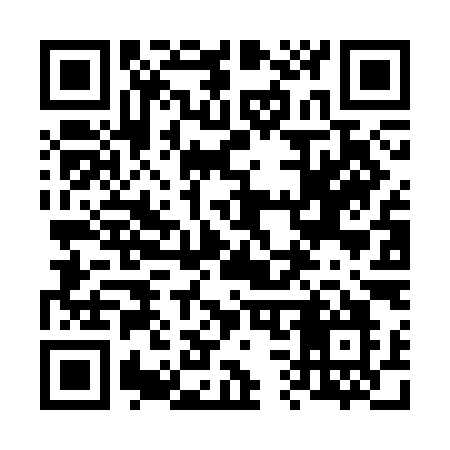 QR code for 636CIO