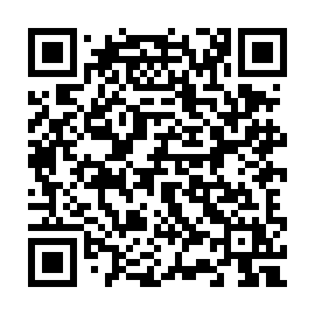 QR code for 638DIX