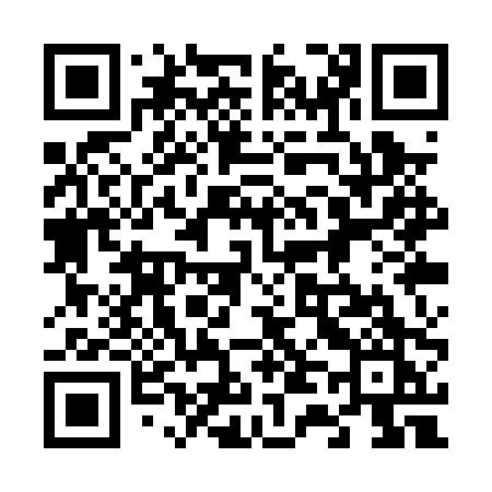 QR code for 641PPK