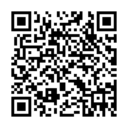 QR code for 641XYZ