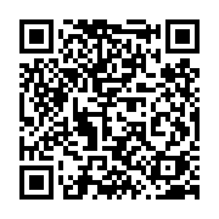 QR code for 645DSI