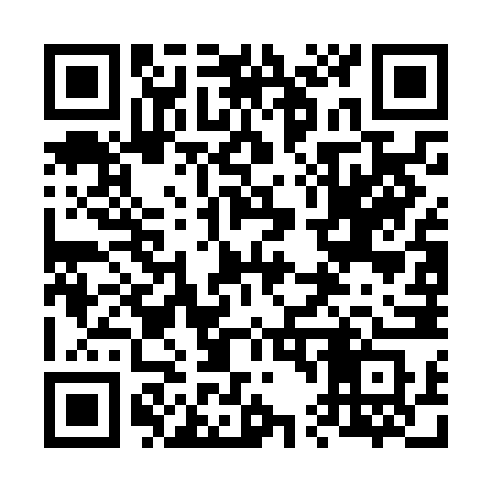 QR code for 647NNS