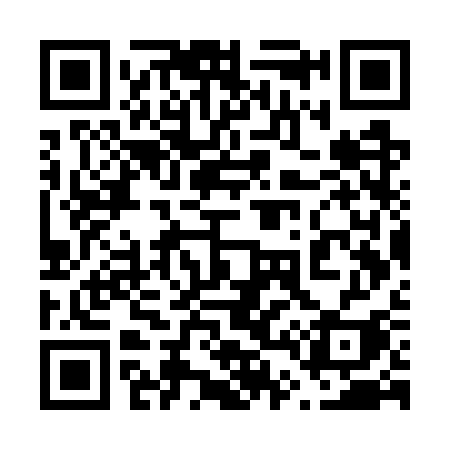 QR code for 647WSI