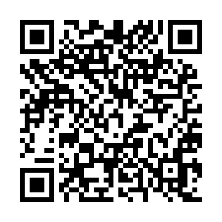 QR code for 647YIN