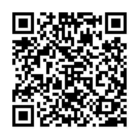 QR code for 650DYY