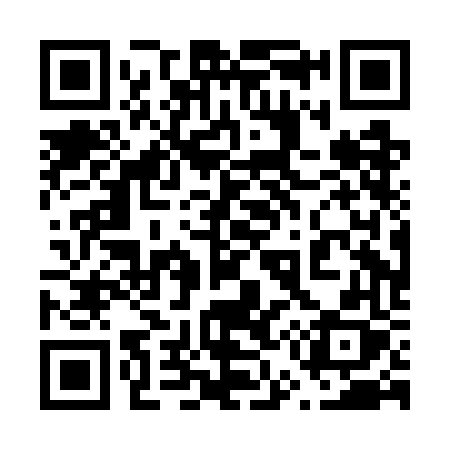QR code for 650GFX