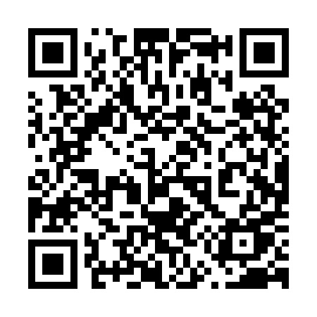 QR code for 650PPU