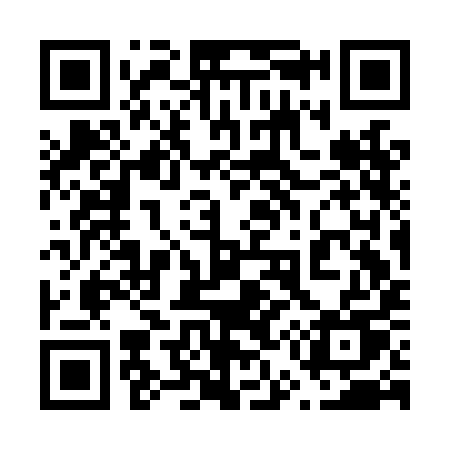 QR code for 653LIU