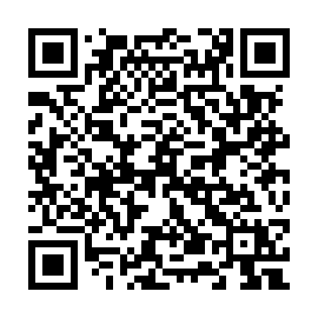 QR code for 653MSX