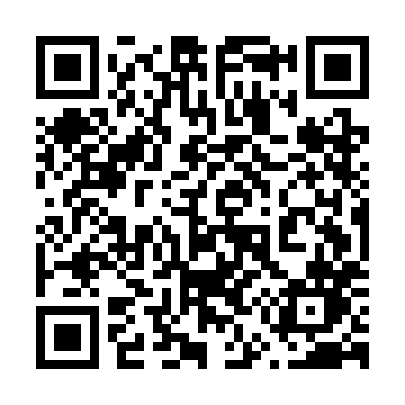 QR code for 655CHN