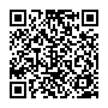 QR code for 655IRE