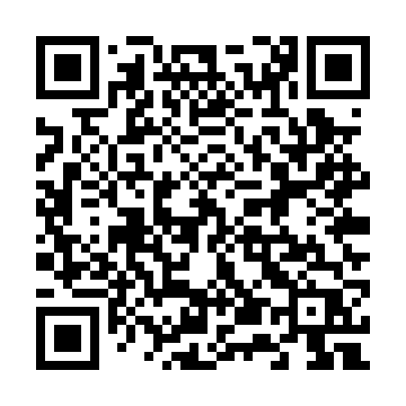 QR code for 655PVP