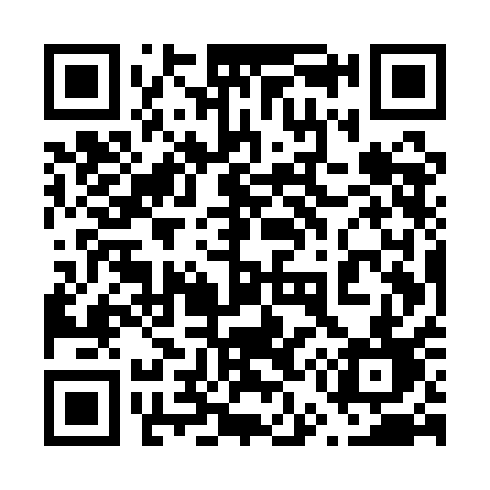 QR code for 655QAD