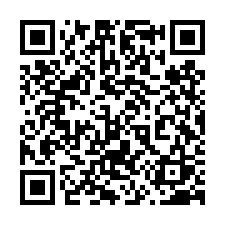 QR code for 656DSS