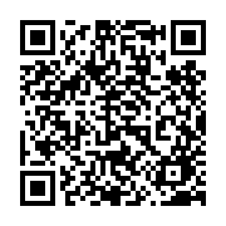 QR code for 656TEG