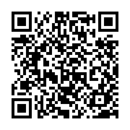 QR code for 656ZIL