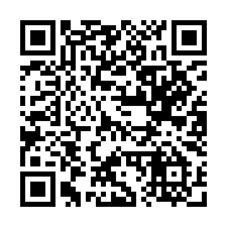 QR code for 663IIM