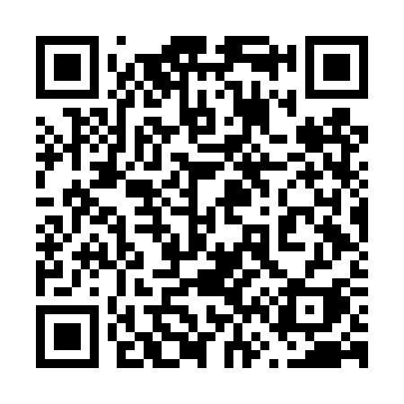 QR code for 666DSI
