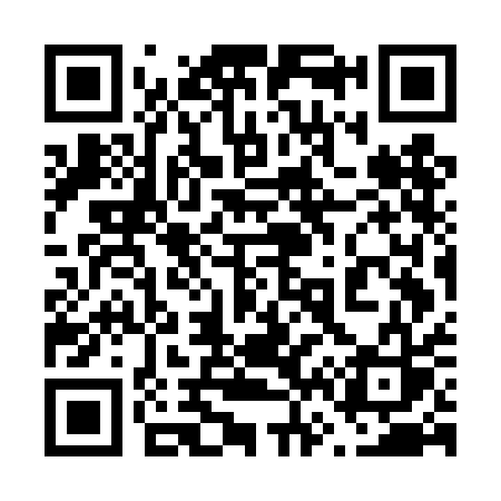 QR code for 667DAS
