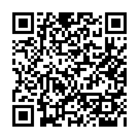 QR code for 668IZS