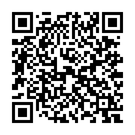 QR code for 687TAX