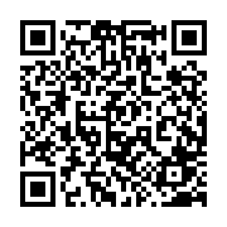 QR code for 690APV