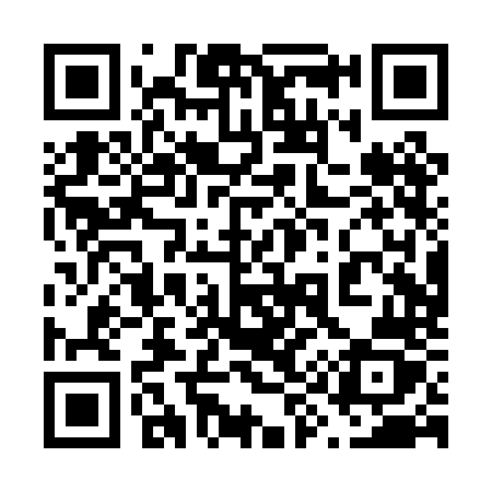 QR code for 690PNZ