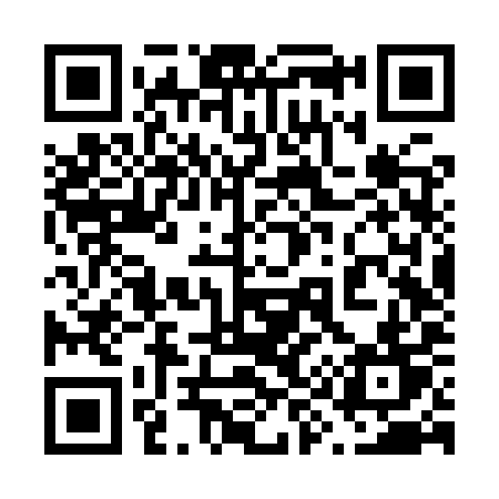 QR code for 696YYT