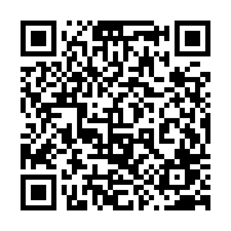 QR code for 699IPV
