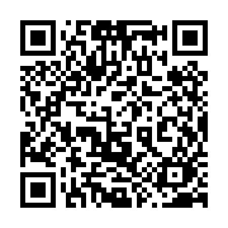 QR code for 699PQO
