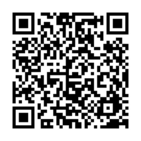 QR code for 699PRG
