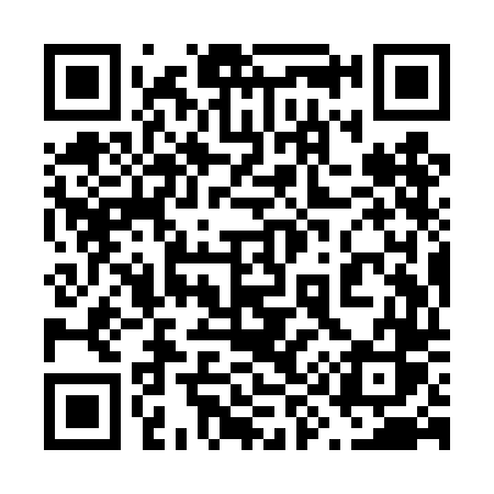 QR code for 699TDS
