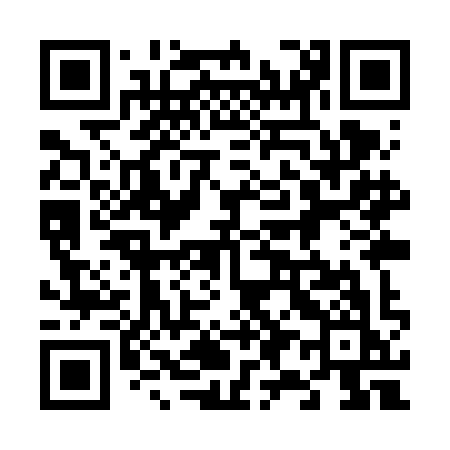 QR code for 699VIK