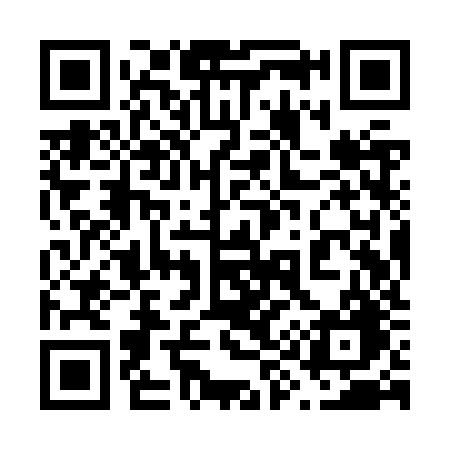 QR code for 699ZZG