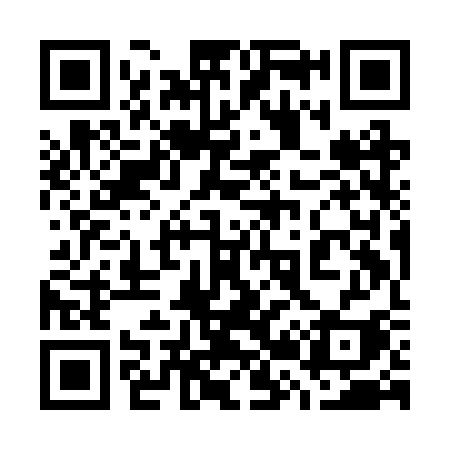 QR code for 729BSI