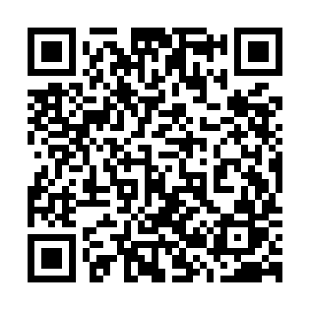 QR code for 729MIR